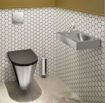 hang toilet RVS